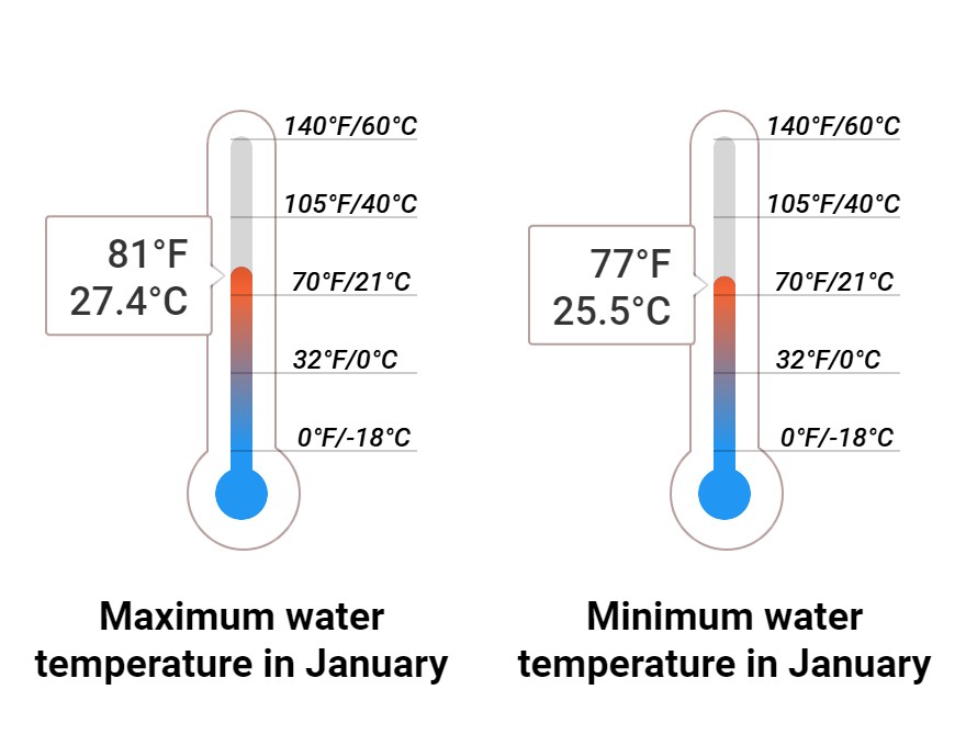 Average Sea temperature